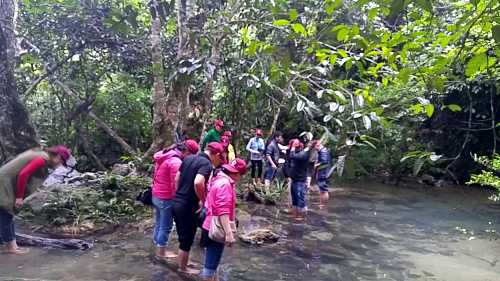pictureslide21