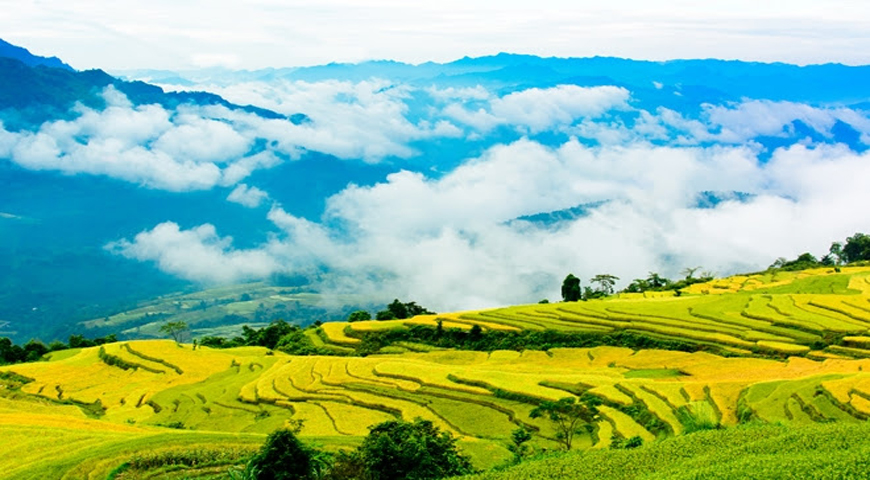 Tour du lịch trải nghiệm -  Ruộng bậc thang Hồng Thái.