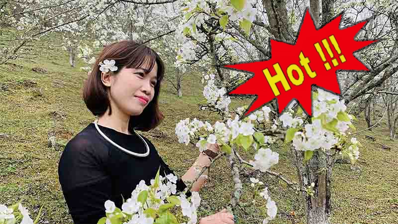 Tour Hà Nội Na Hang mùa hoa lê 2 ngày 1 đêm trọn gói