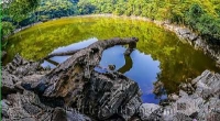 Khám phá cảnh đẹp thiên nhiên đẹp mề hồn tại động Puông - Bắc cạn