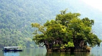 Đảo Bà Góa - Điểm tham quan không thể bỏ lỡ khi du lịch hồ Ba Bể